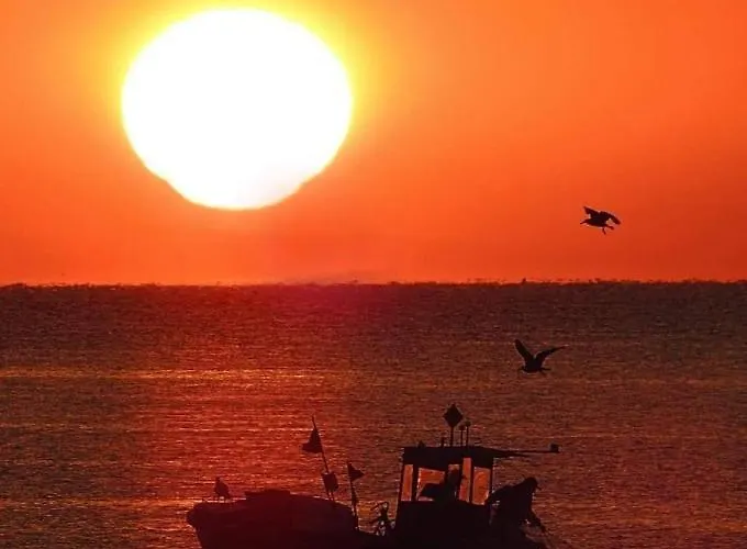 Oko Na Zatoke * 帕克